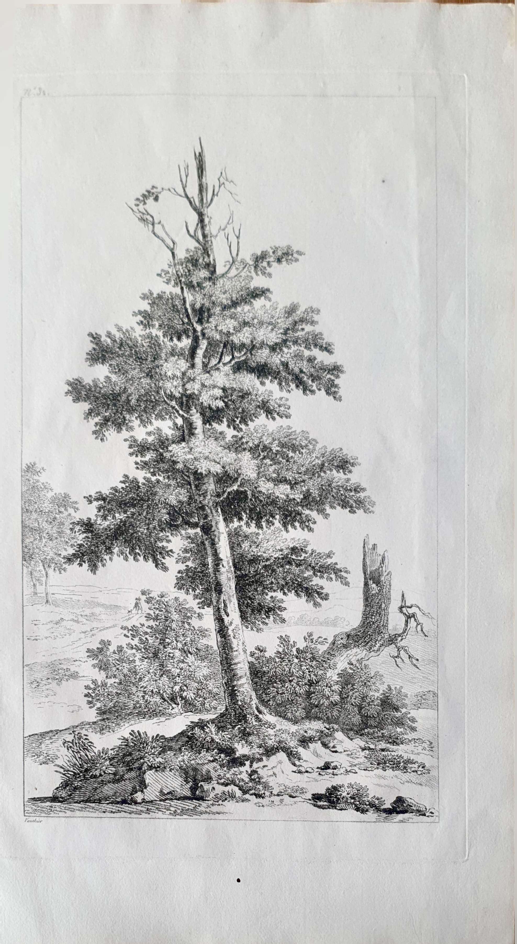 Vue 2