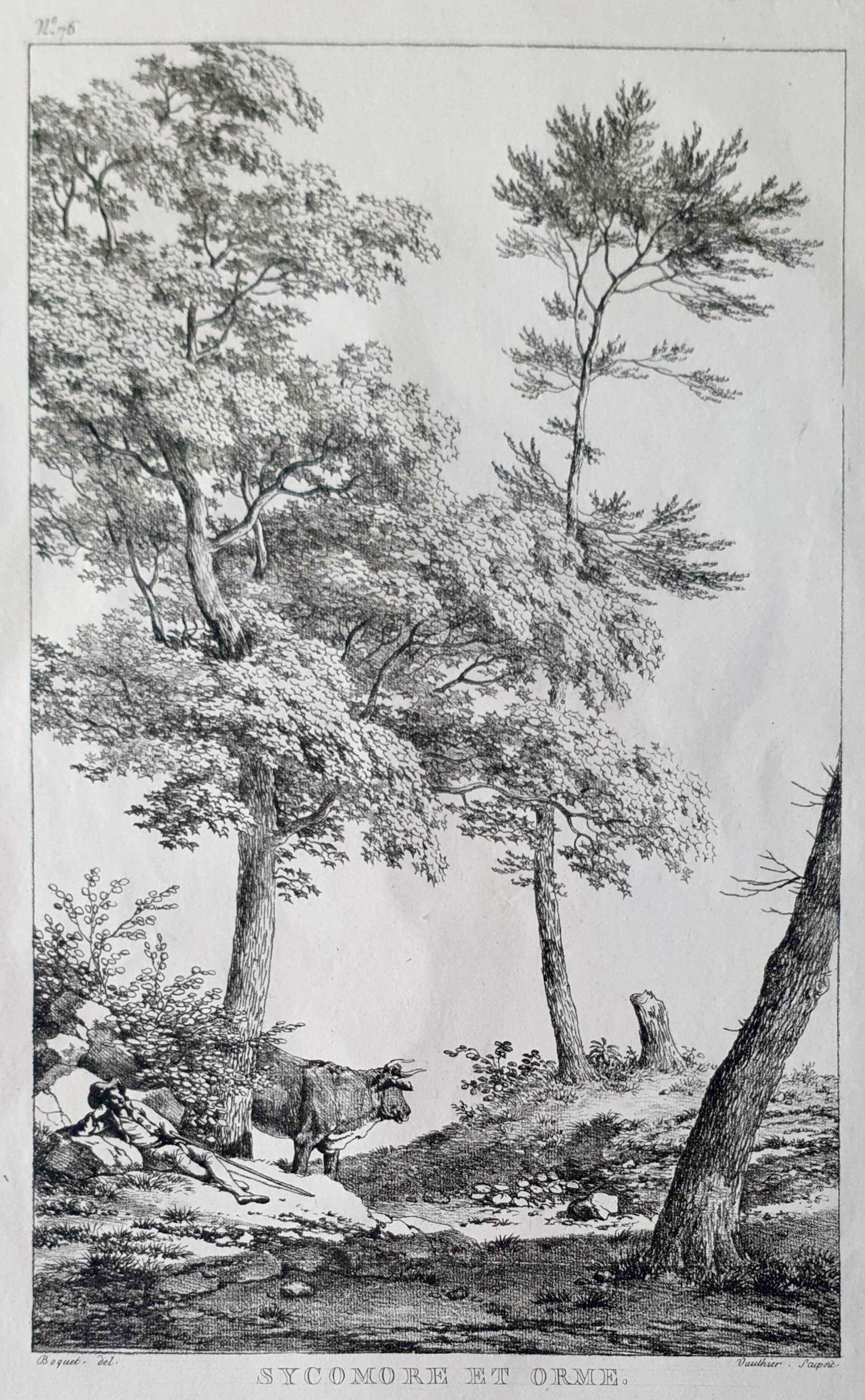 VAUTHIER Jules Antoine