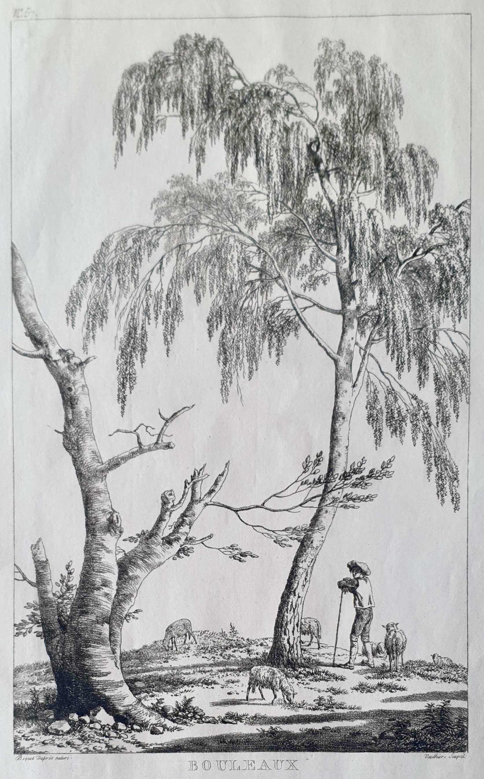 VAUTHIER Jules Antoine