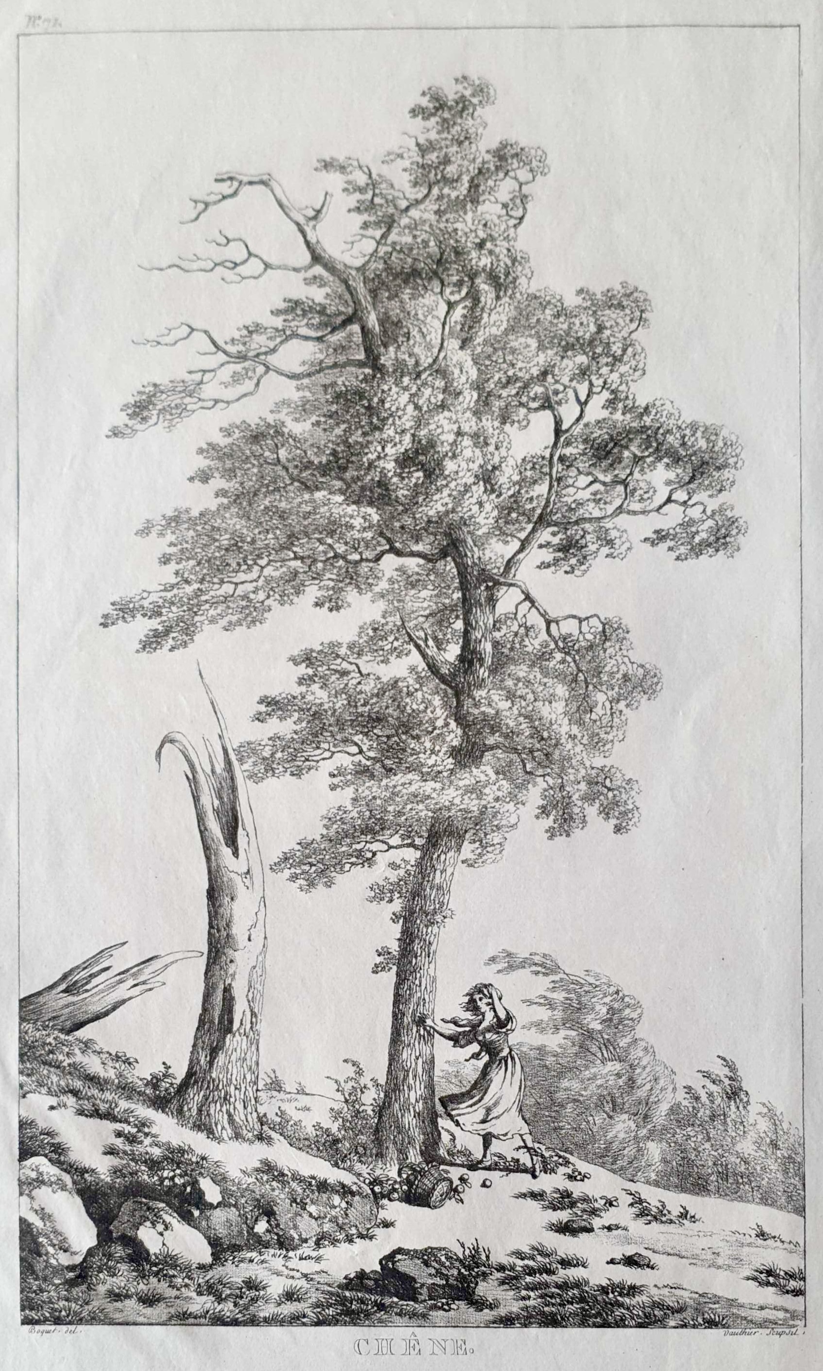 VAUTHIER Jules Antoine
