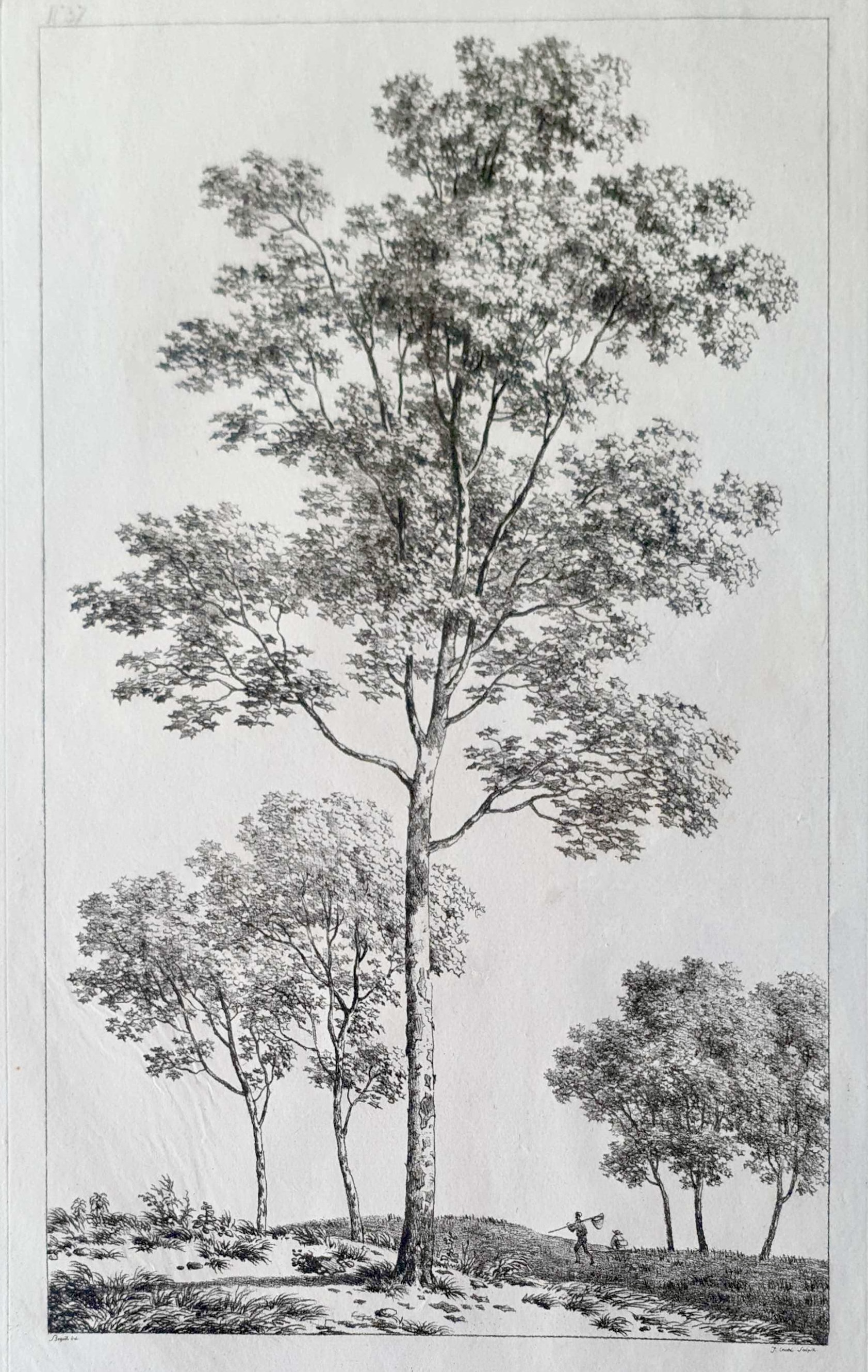 COUCHÉ Jacques