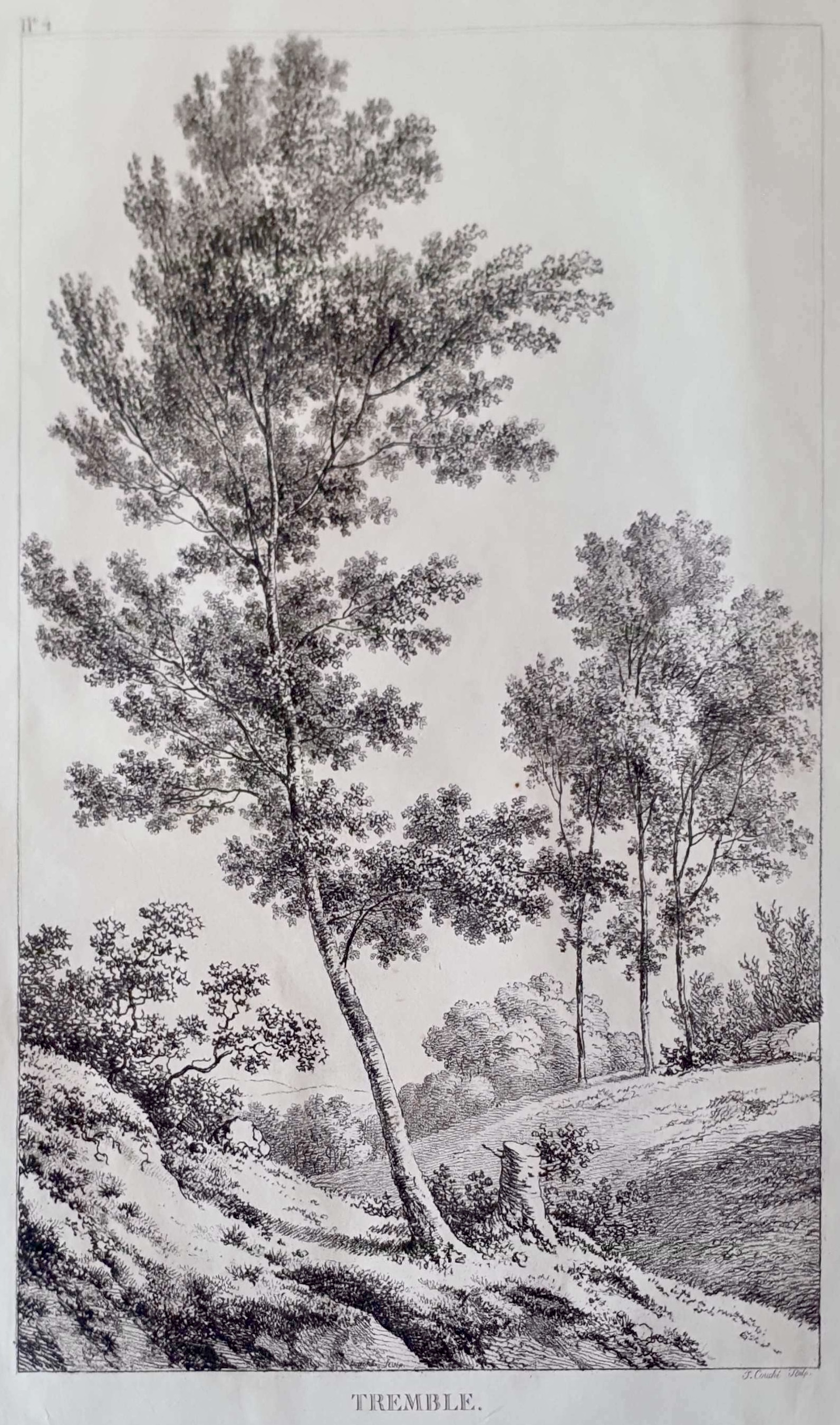 COUCHÉ Jacques