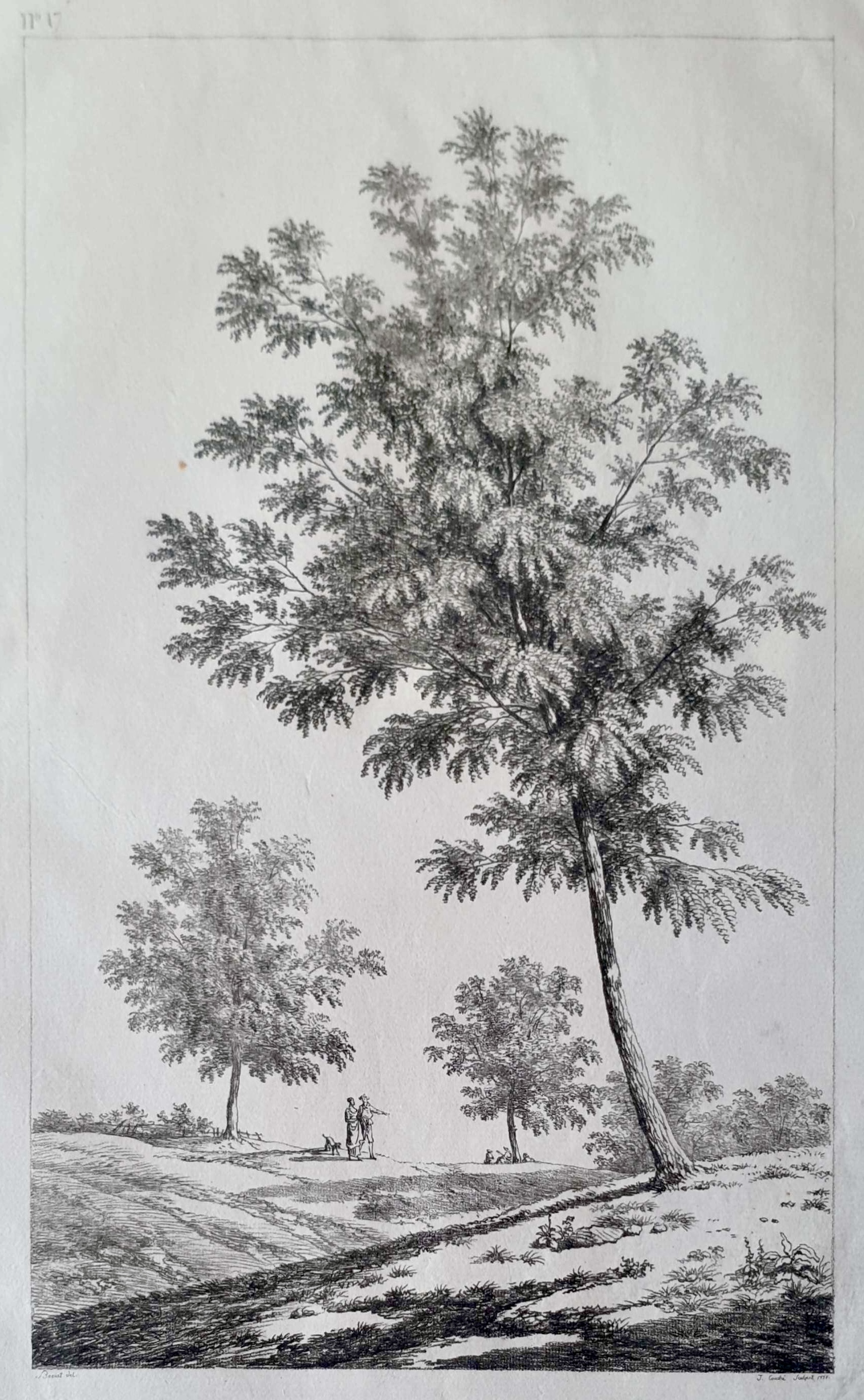 COUCHÉ Jacques