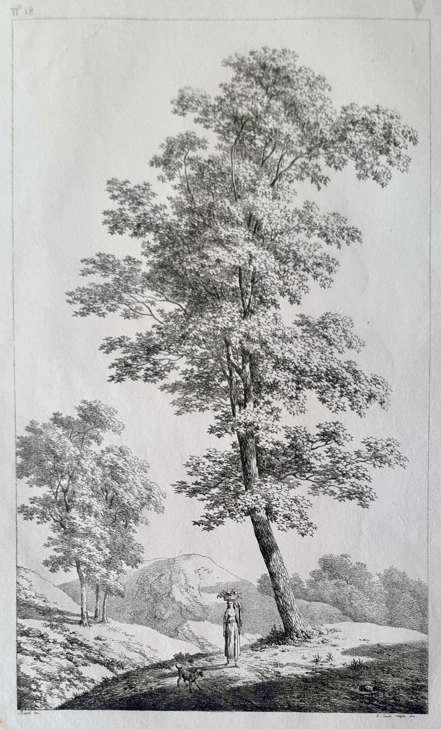 COUCHÉ Jacques