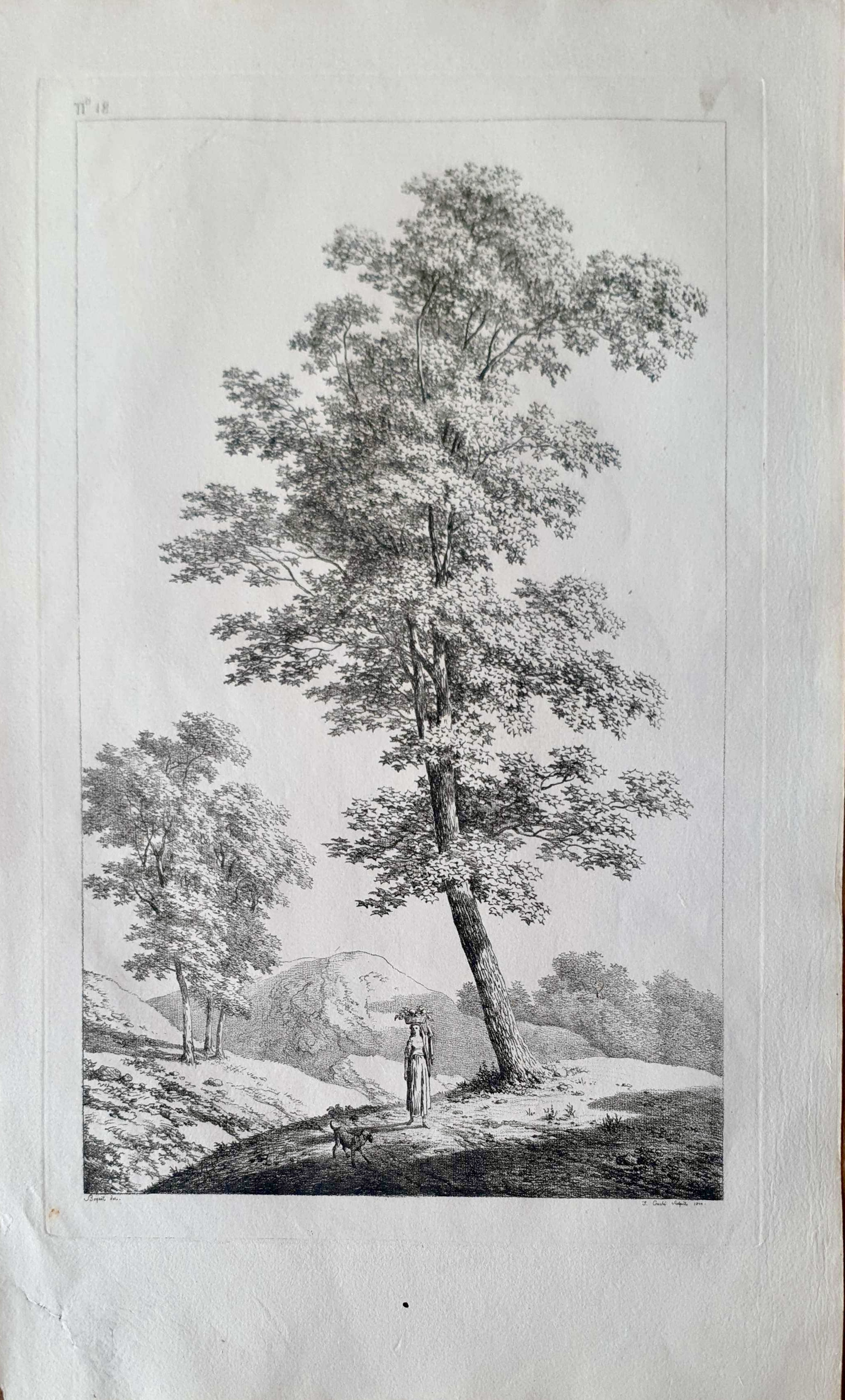 Vue 2