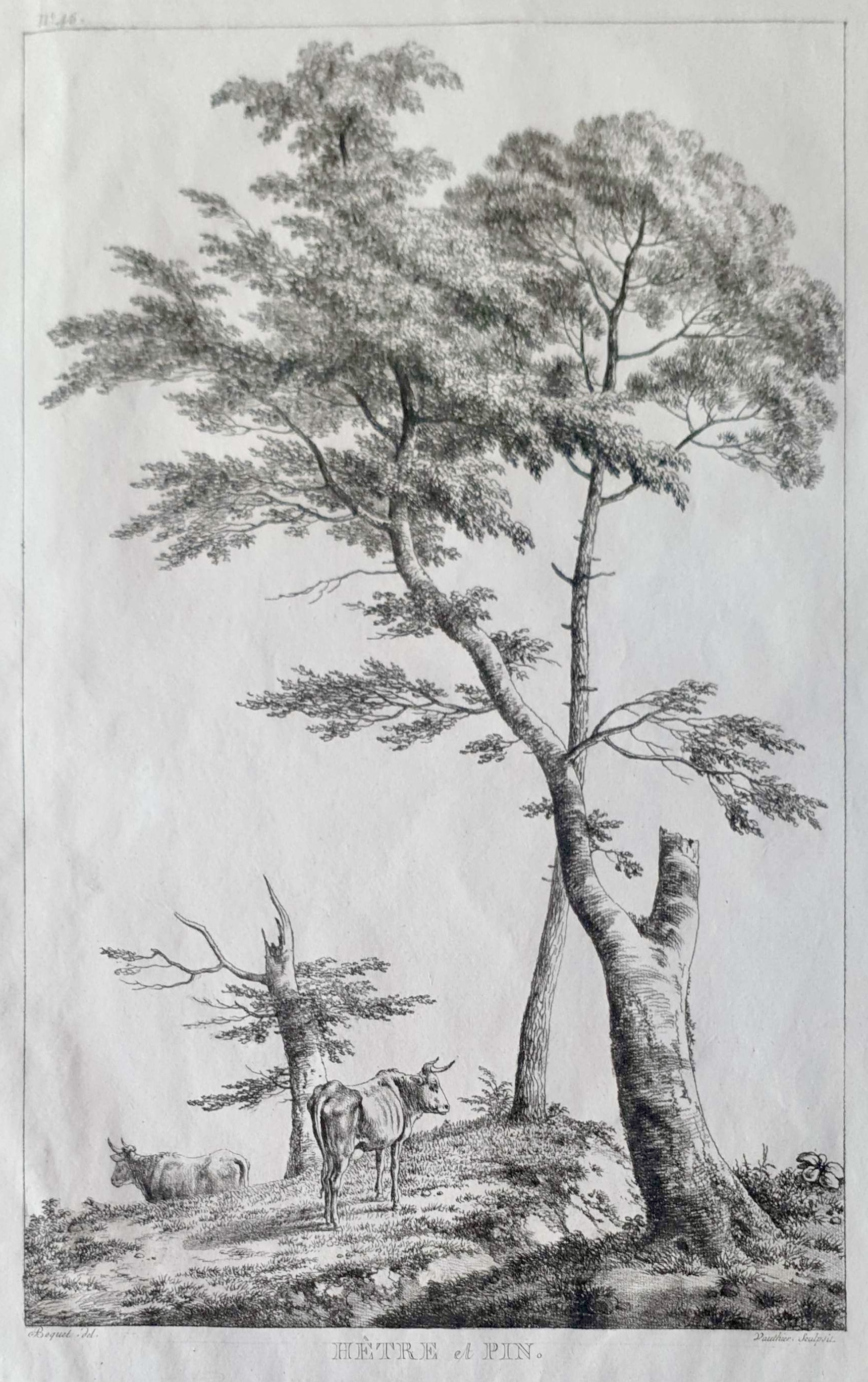 VAUTHIER Jules Antoine