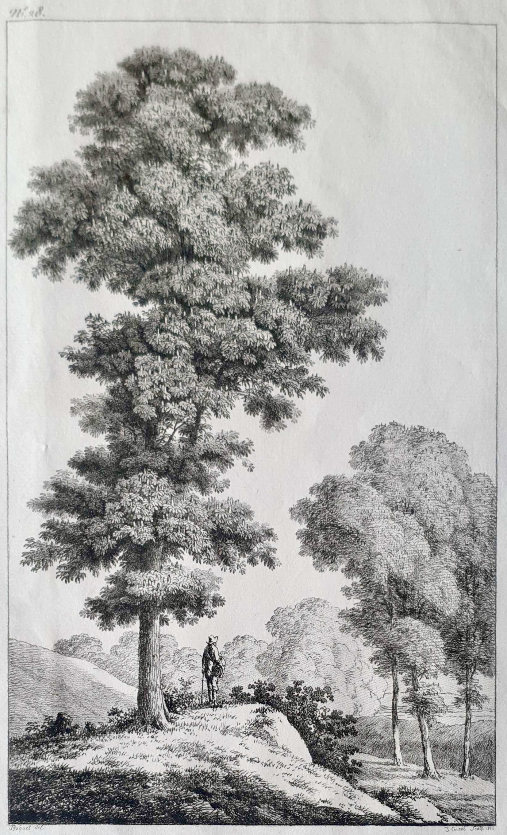 COUCHÉ Jacques