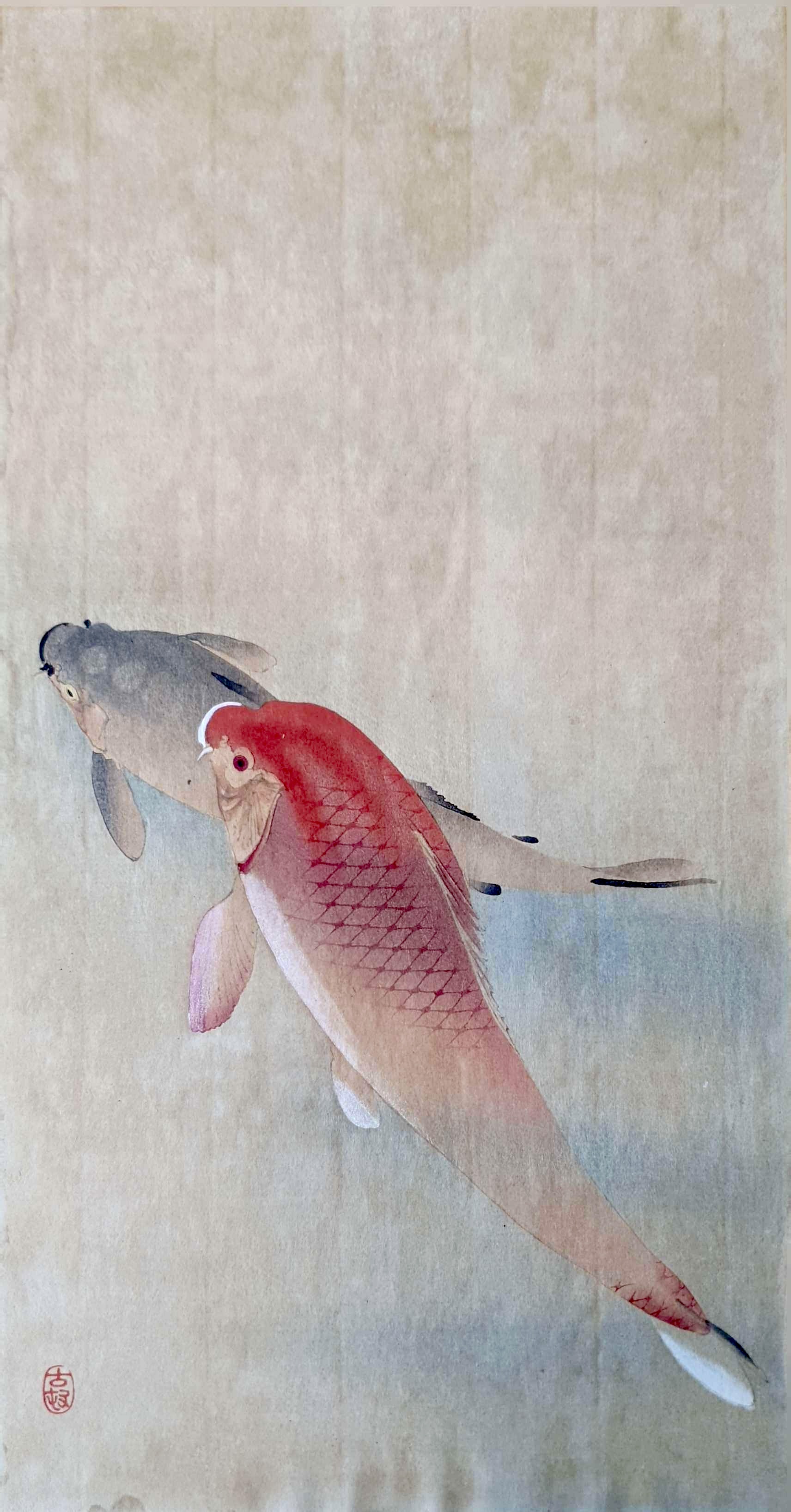 KOSON Ohara
