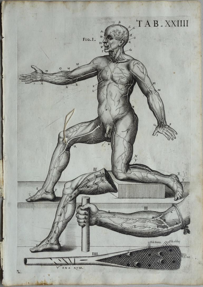 CORTONE Pierre de (d\'apr�s)