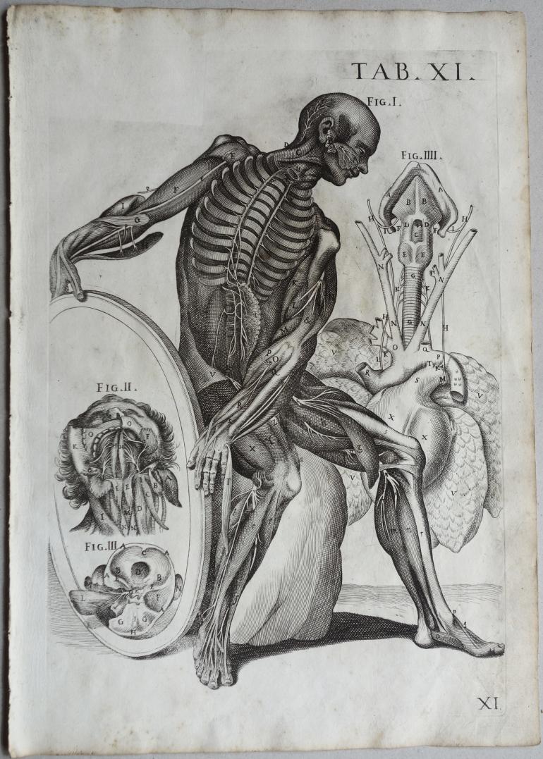 CORTONE Pierre de (d\'apr�s)