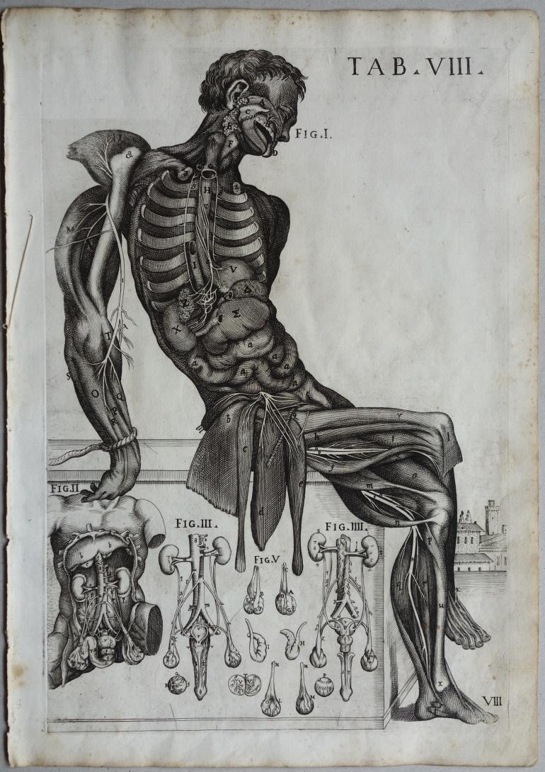 CORTONE Pierre de (d\'apr�s)