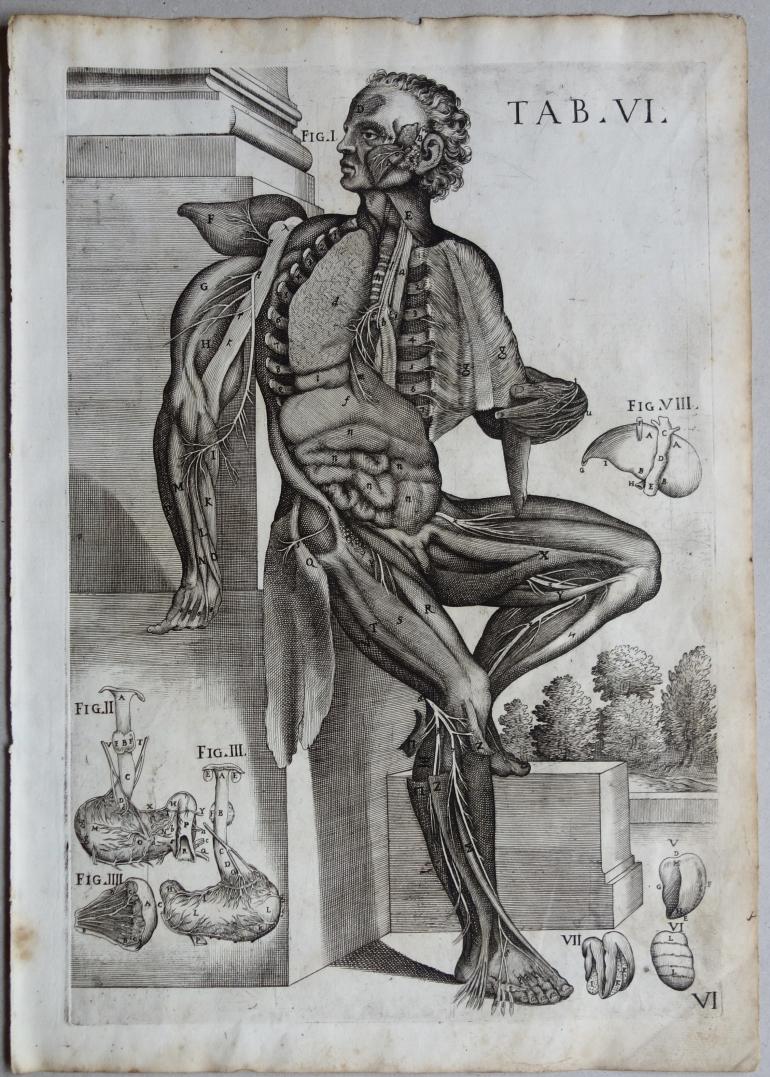 CORTONE Pierre de (d\'apr�s)