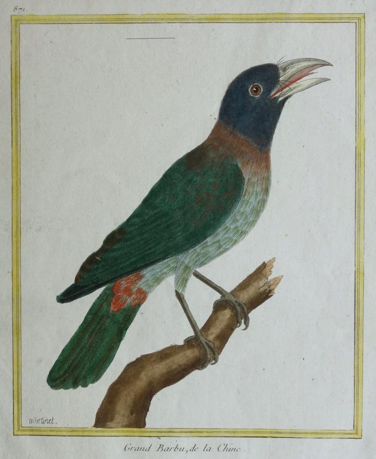 MARTINET François Nicolas