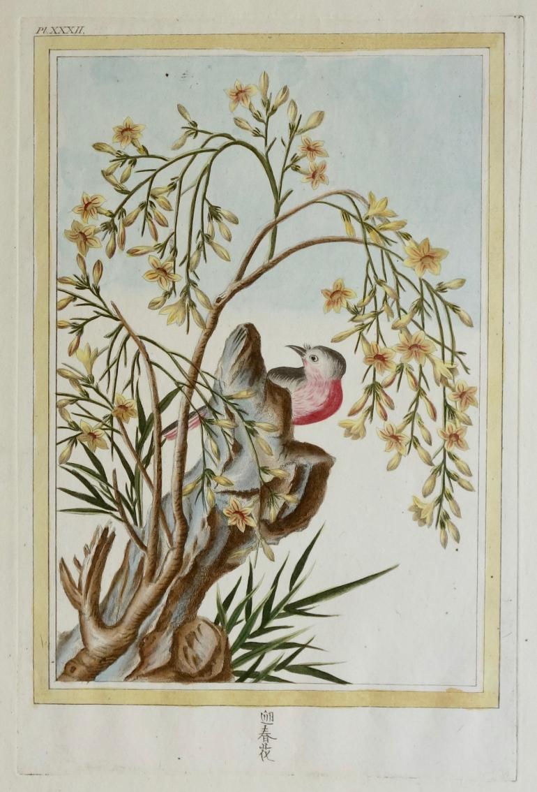 BUC'HOZ Pierre-Joseph