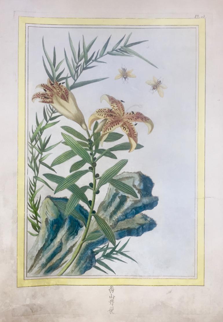 BUC\'HOZ Pierre-Joseph