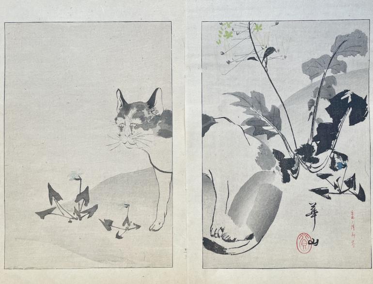 KAZAN Yokoyama (d'après)