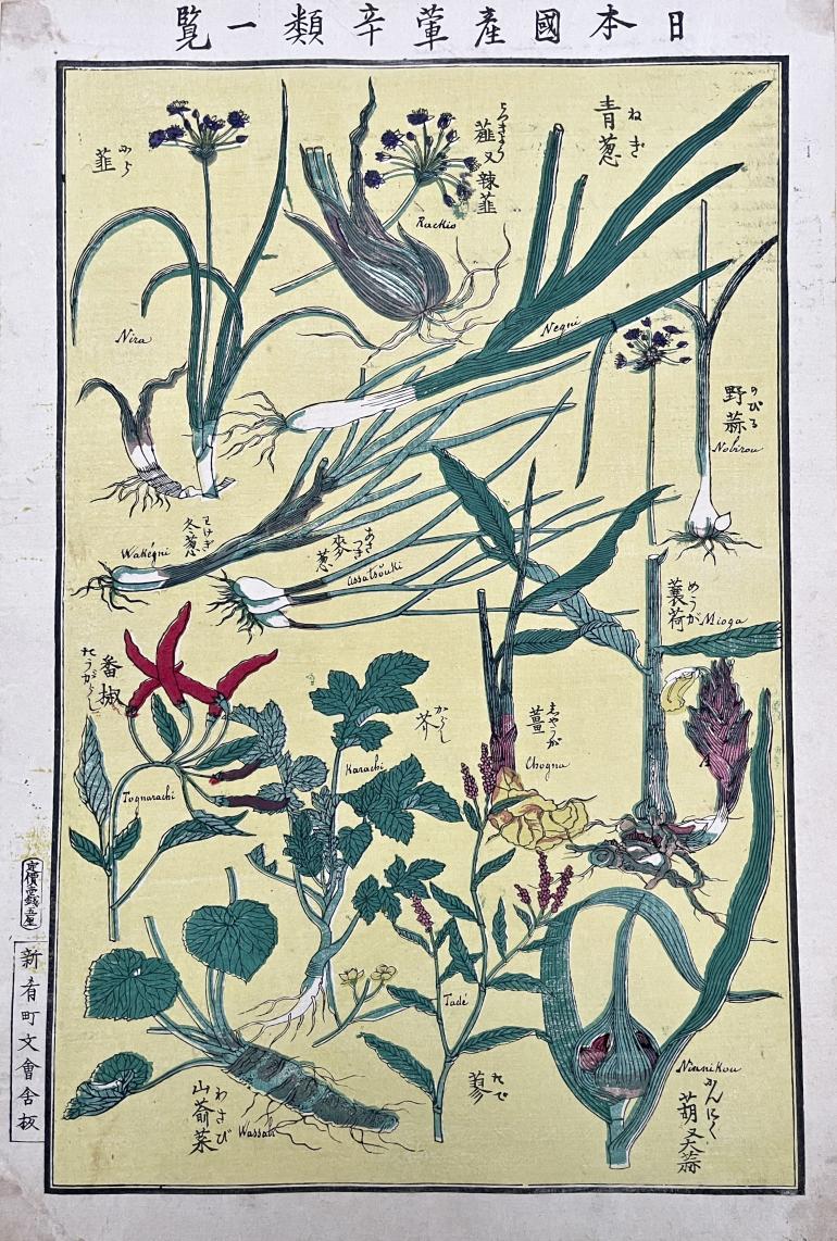 MEIJI JAPANESE SCHOOL