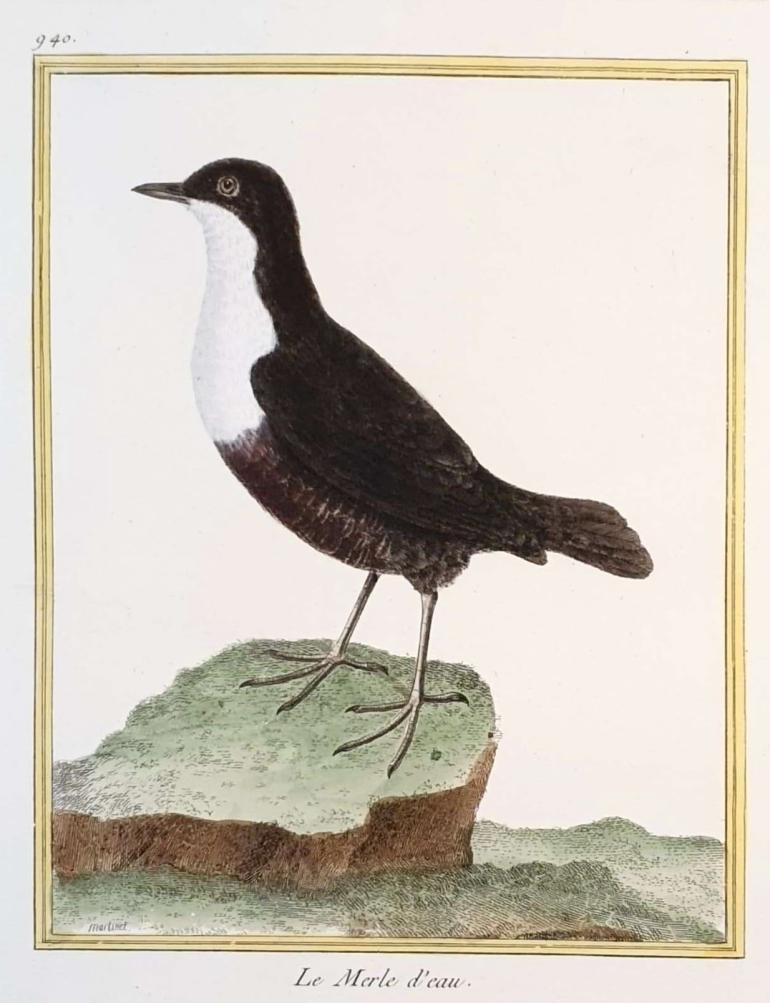 MARTINET, Fran�ois Nicolas