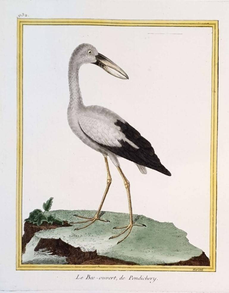 MARTINET, Fran�ois Nicolas