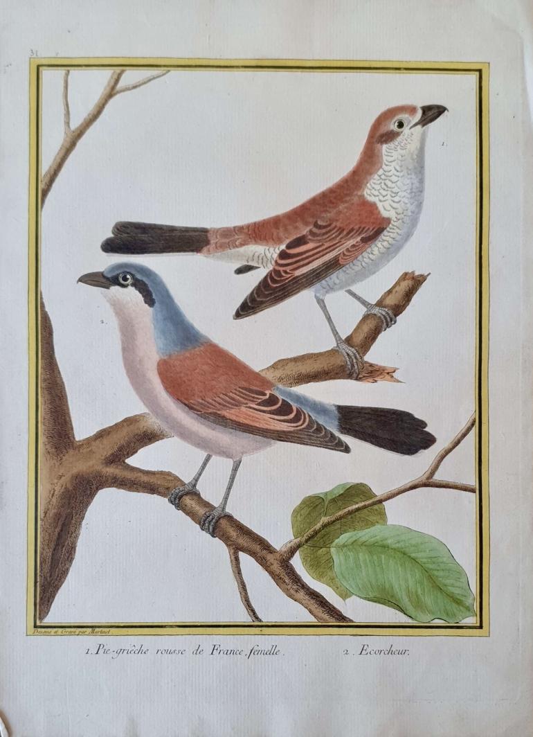 MARTINET, Fran�ois Nicolas