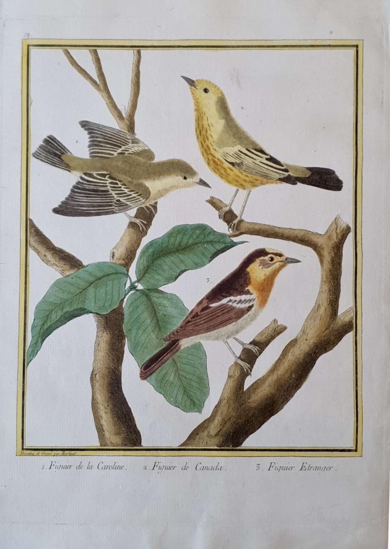 MARTINET, François Nicolas