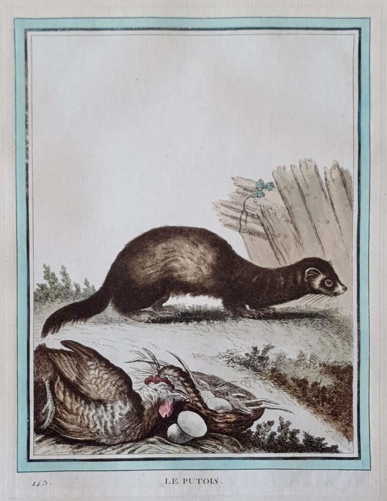 MARTINET, Fran�ois Nicolas