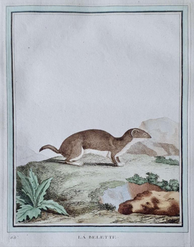 MARTINET, Fran�ois Nicolas