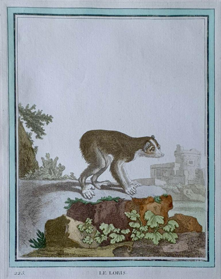 MARTINET, Fran�ois Nicolas