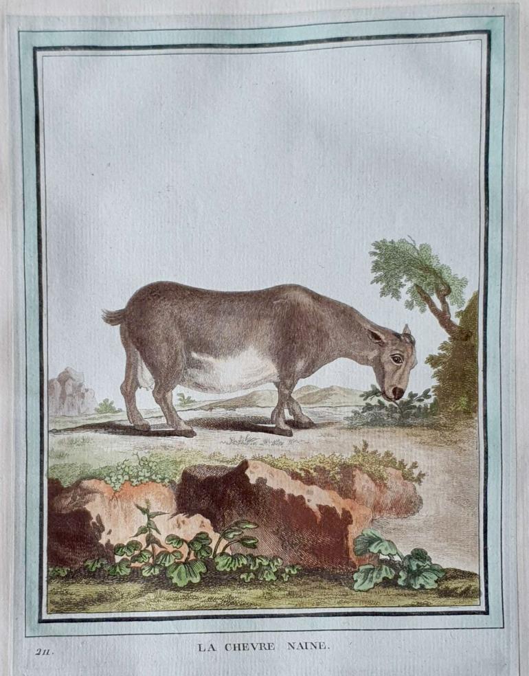 MARTINET, Fran�ois Nicolas