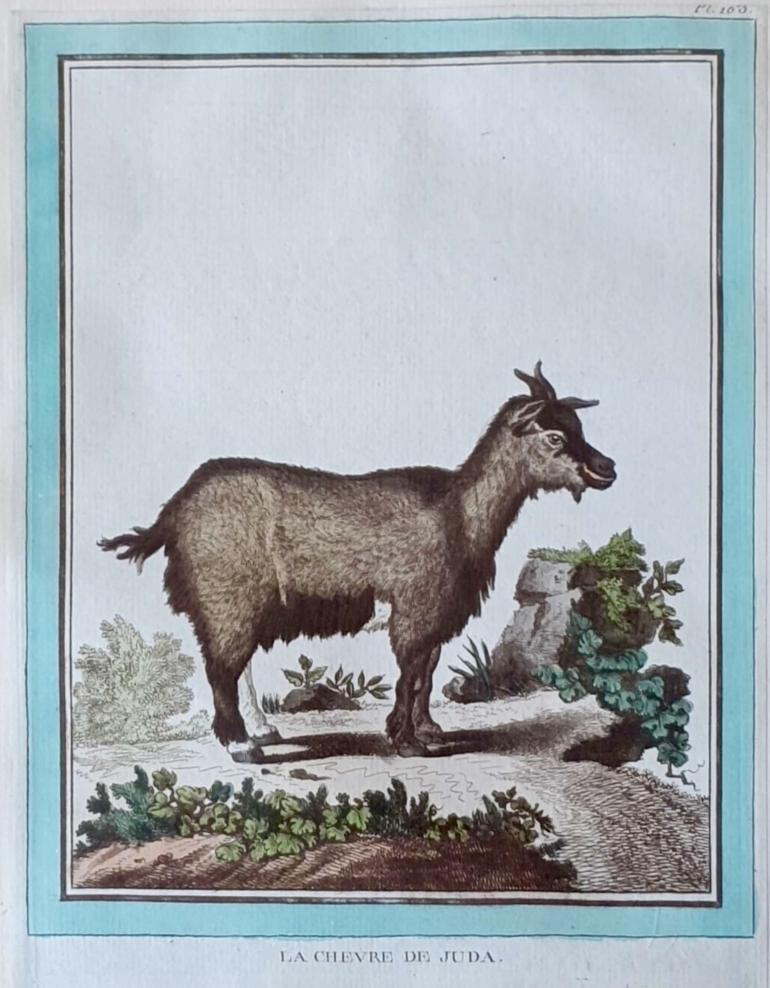 MARTINET, Fran�ois Nicolas