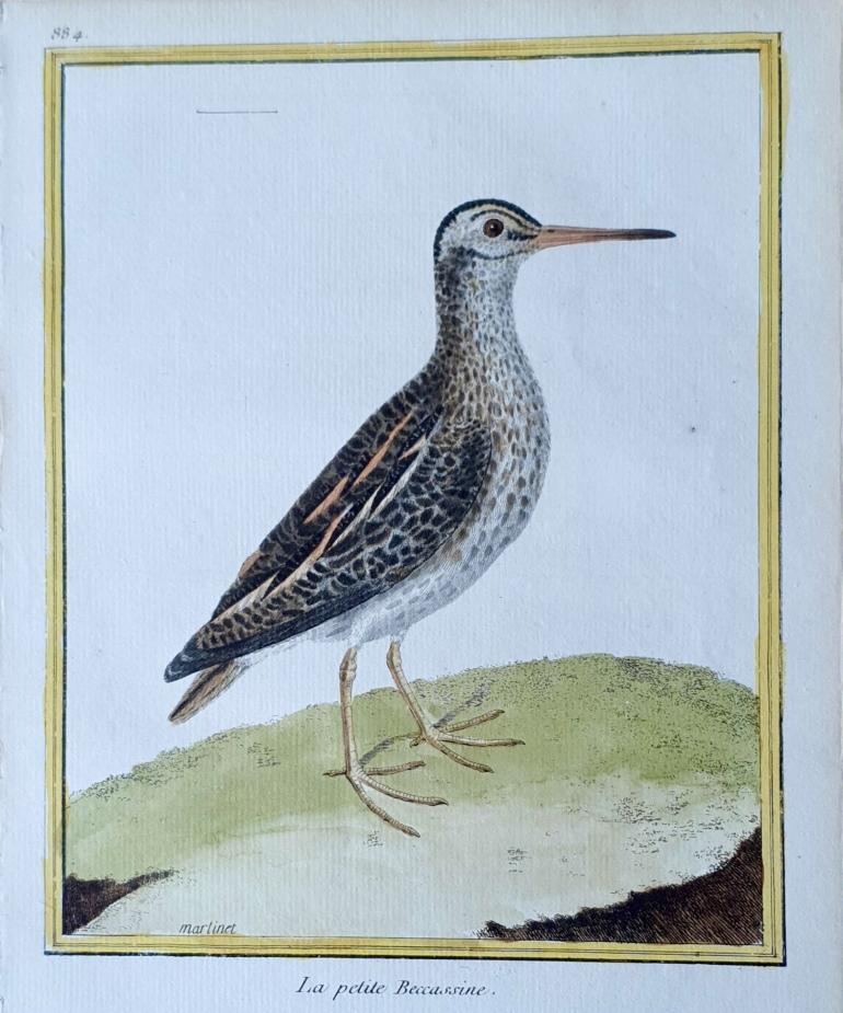 MARTINET, Fran�ois Nicolas