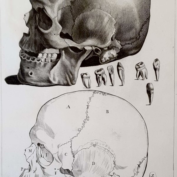 LAGRENÉE Jean-Jacques