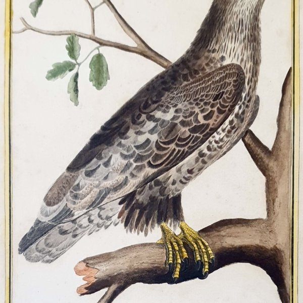 MARTINET, François Nicolas