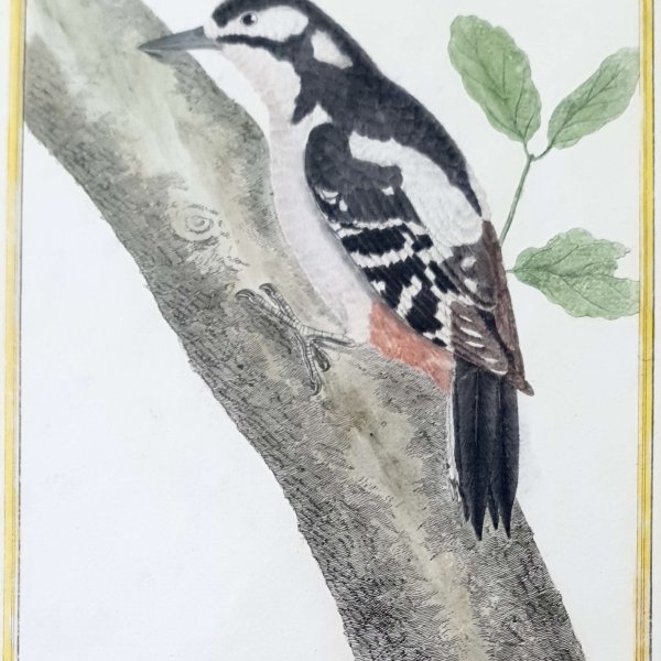 MARTINET, François Nicolas