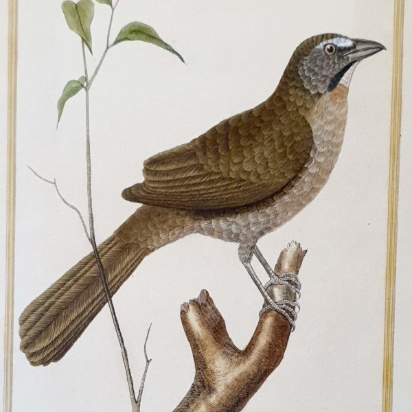 MARTINET, François Nicolas