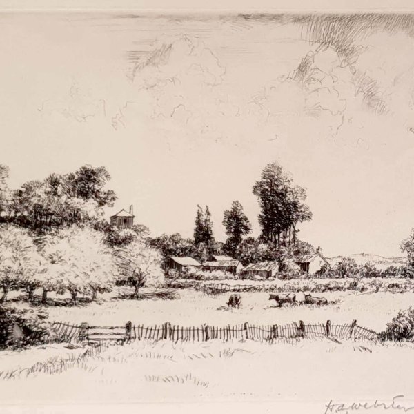WEBSTER Herman Armour