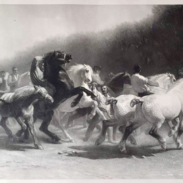 LANDSEER Thomas