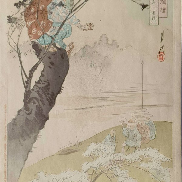 GEKKO Ogata
