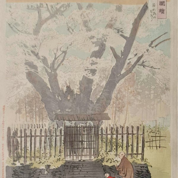GEKKO Ogata