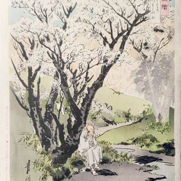 GEKKO Ogata