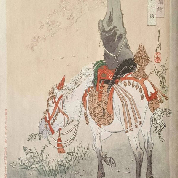 GEKKO Ogata