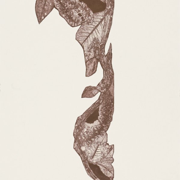 ABELANET Sylvie