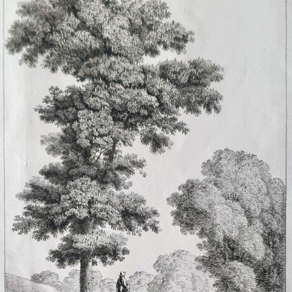COUCHÉ Jacques