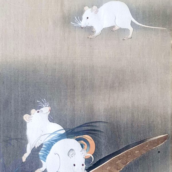KOSON Ohara