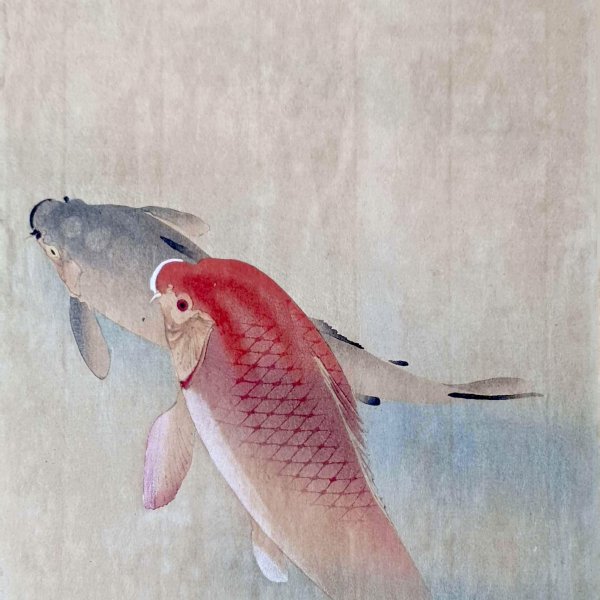 KOSON Ohara