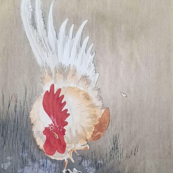 KOSON Ohara