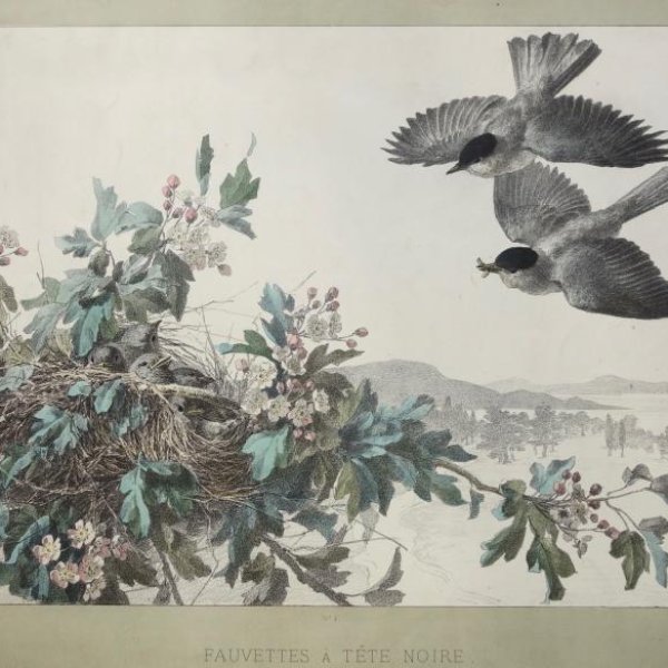 SCHULLER Joseph Carl Paul