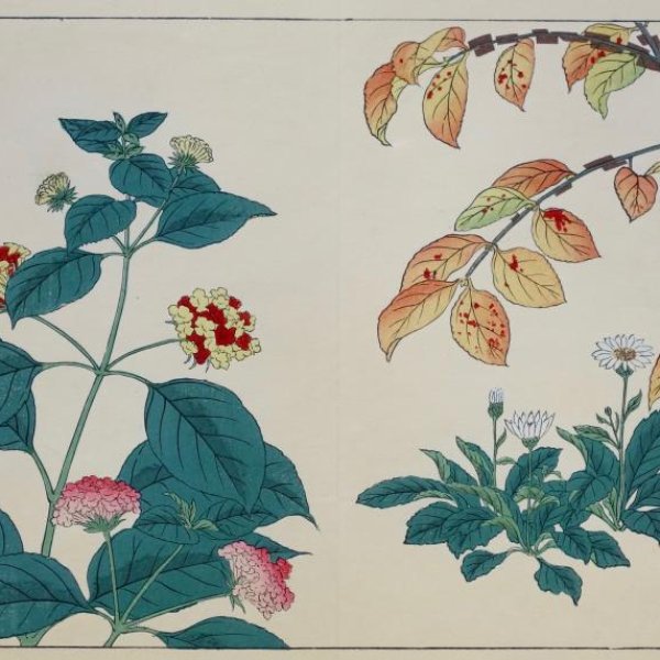 JAPANESE SCHOOL 19th 20th