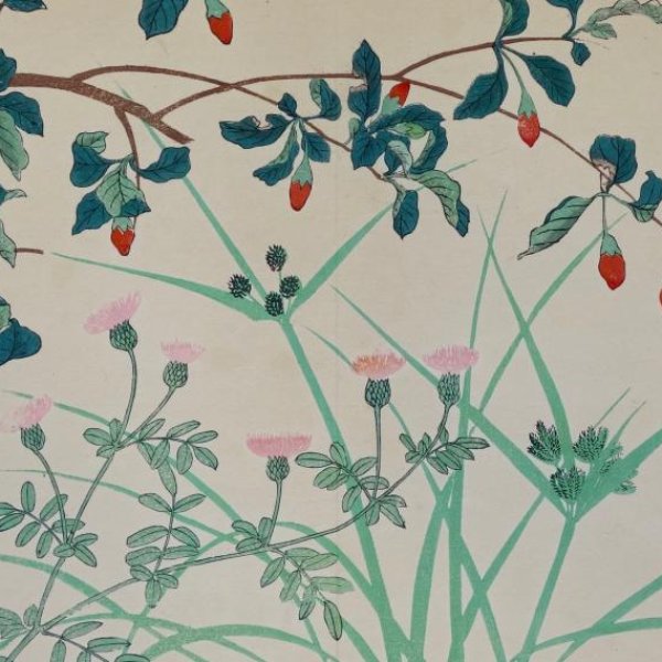 JAPANESE SCHOOL 19th 20th