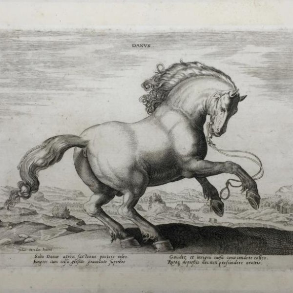 after VAN DER STRAET Jan